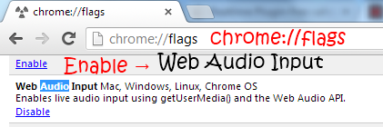 Enable Web Audio Input flag